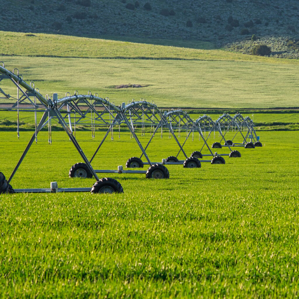 Scenery with metal sprinkling machines on a green field